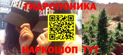 индика Комсомольск-на-Амуре