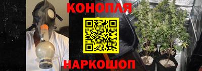 индика Комсомольск-на-Амуре