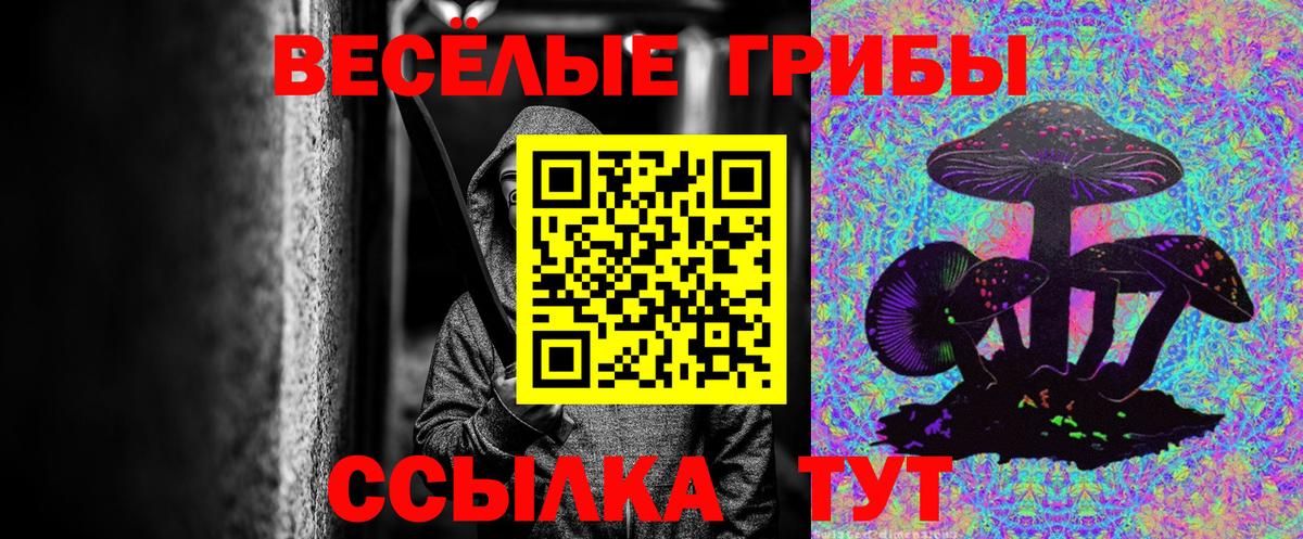 Карпинск  Псилоцибиновые грибы GOLDEN TEACHER  Вход с VPN 